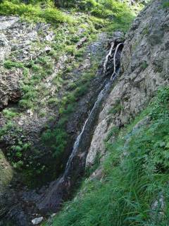 DSC00893.jpg