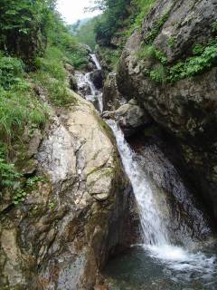 DSC00901.jpg