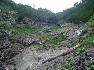 DSC00905.jpg