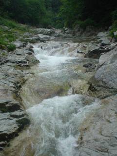DSC00866.jpg