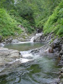 DSC00879.jpg