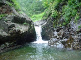 DSC00880.jpg