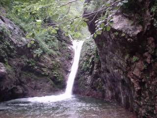 DSC00881.jpg