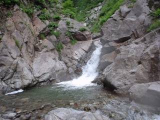 DSC00883.jpg