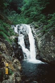 FH030005.jpg