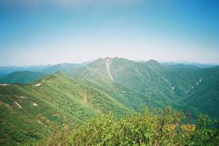 FH030002.jpg
