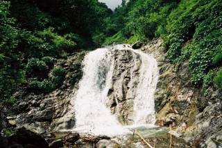 FH030013.jpg