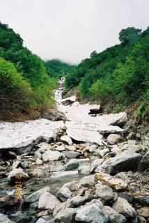 FH030014.jpg