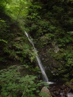 DSC00691.jpg