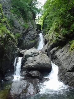 DSC00697.jpg