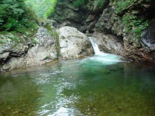 DSC00707.jpg