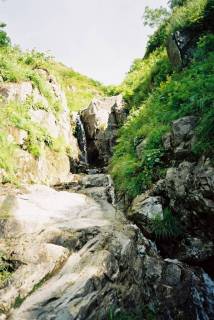 FH030016.jpg