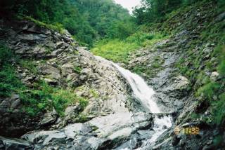 FH030020.jpg