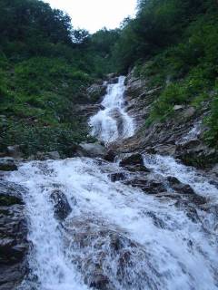DSC00683.jpg