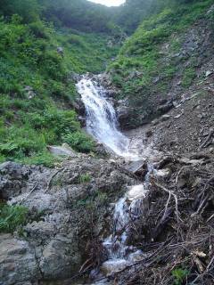 DSC00687.jpg