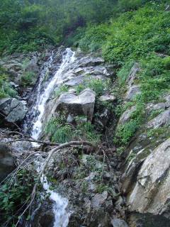 DSC00692.jpg