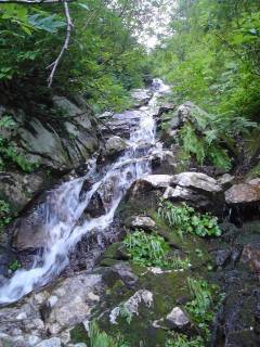 DSC00693.jpg