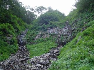 DSC00702.jpg