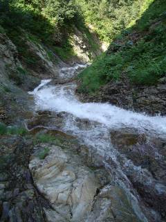 DSC00745.jpg