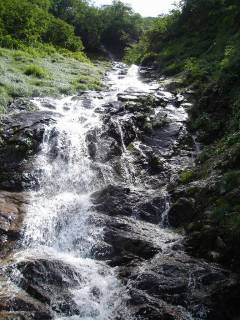 DSC00739.jpg