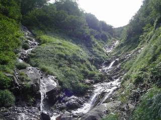DSC00736.jpg