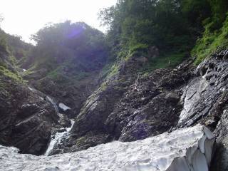 DSC00733.jpg