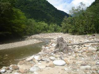 DSC00584.jpg