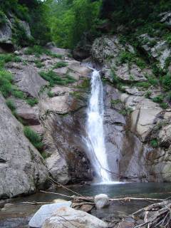 DSC00596.jpg
