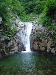 DSC00603.jpg
