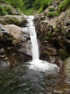 DSC00602.jpg