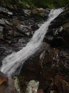DSC00593.jpg