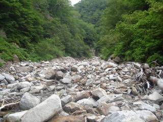 DSC00594.jpg
