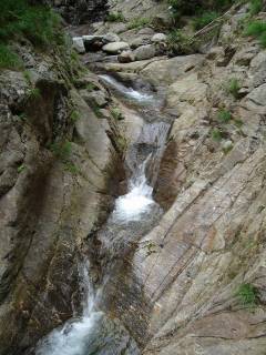 DSC00601.jpg