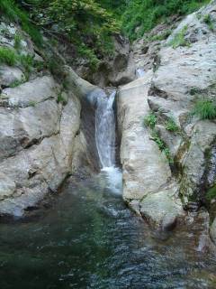 DSC00599.jpg