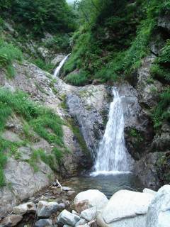 DSC00604.jpg
