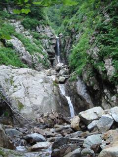 DSC00608.jpg