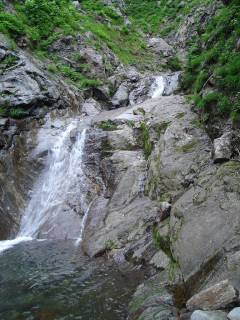 DSC00612.jpg
