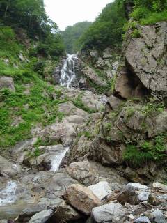 DSC00614.jpg