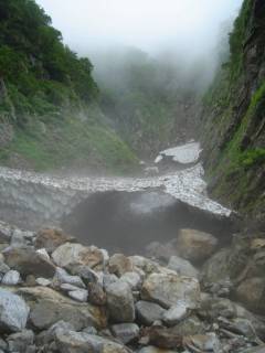 DSC00617.jpg