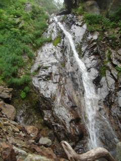 DSC00622.jpg