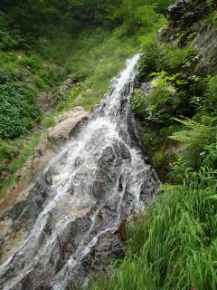 DSC00641.jpg