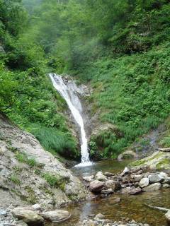 DSC00644.jpg