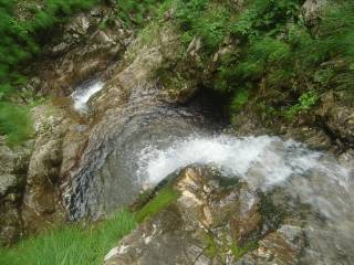 DSC00646.jpg