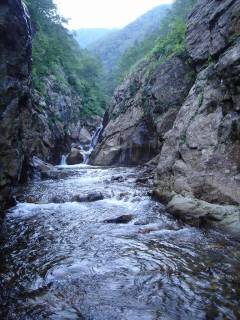 DSC00475.jpg