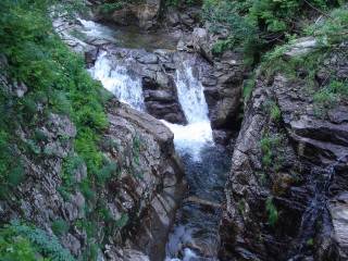 DSC00476.jpg