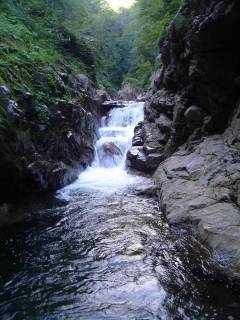 DSC00480.jpg
