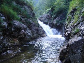 DSC00485.jpg