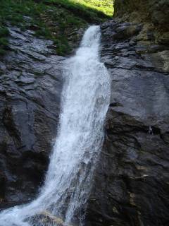 DSC00503.jpg