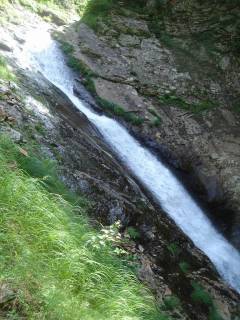 DSC00506.jpg