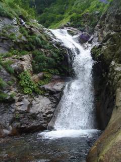 DSC00512.jpg